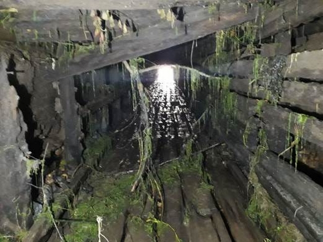 Vue intérieure d'un tunnel constitué de béton et de poutres en bois auxquelles s'accrochent des algues