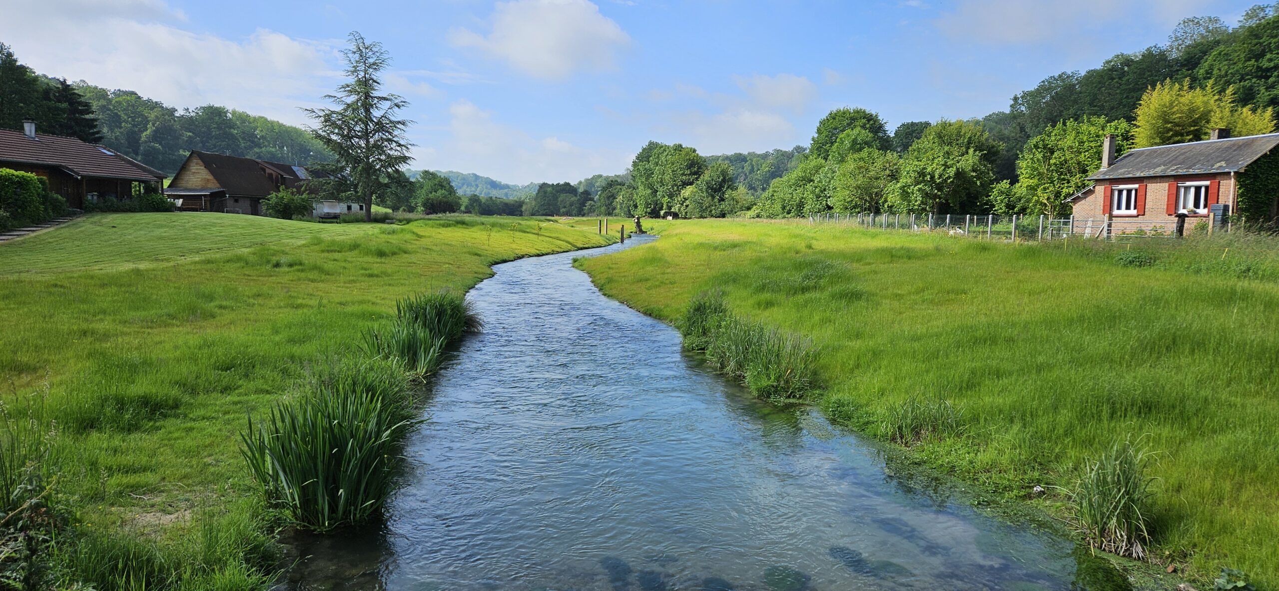 Rivière traversant des pâturages