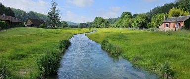 Rivière traversant des pâturages