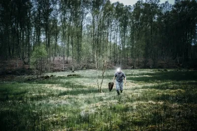 Le Bois de l'pinay et sa source ferrugineuse